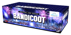 Bandicoot